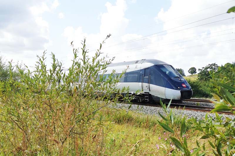 Tog passere forbi langs Skjoldungestien