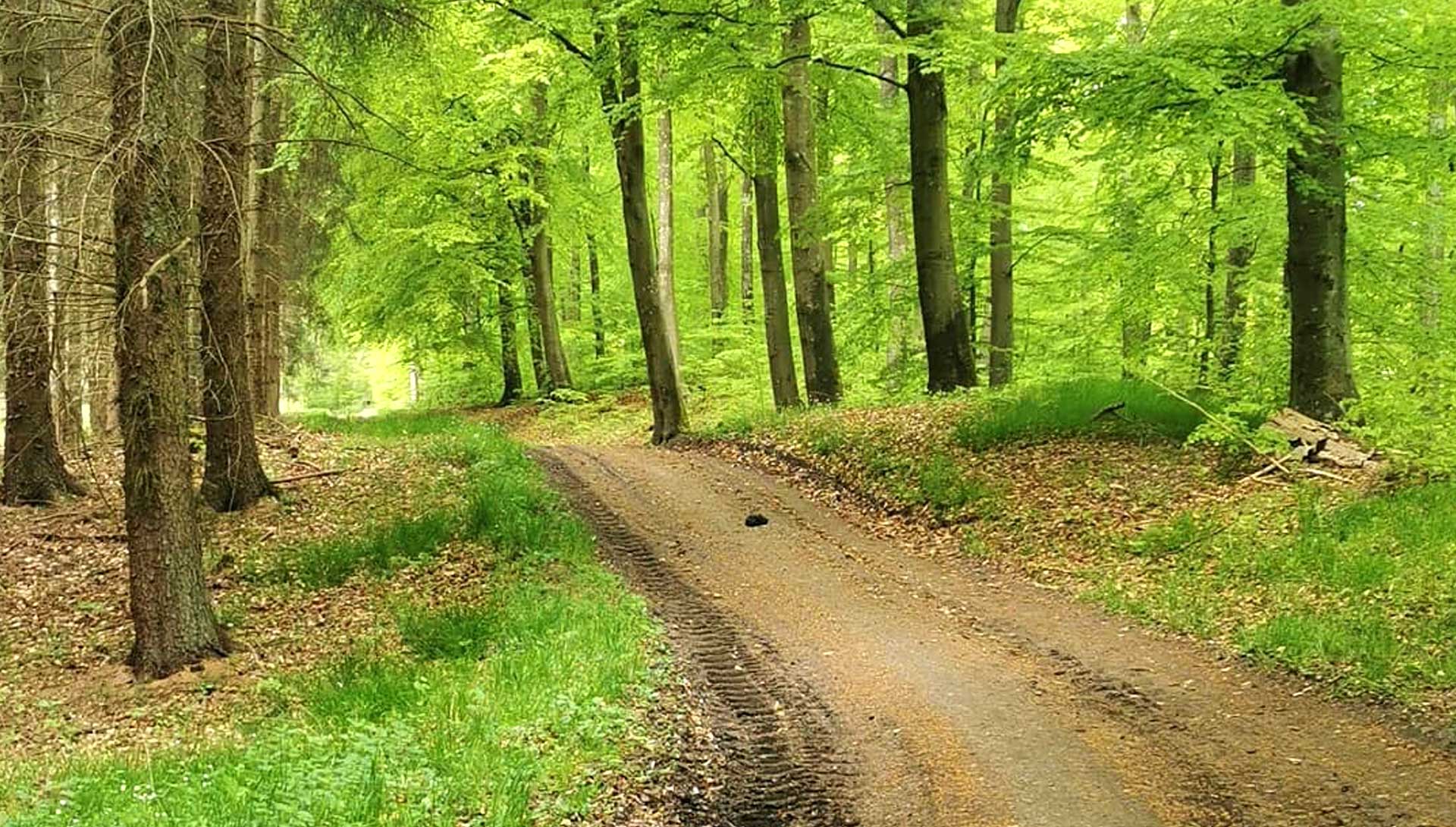 Fjordstien etape 5 fra Frederikssund til Kyndby Huse