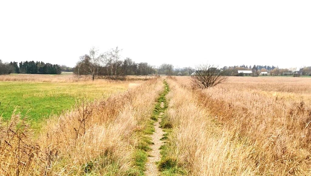 Fjordstien på etapen fra Gershøj til Frederikssund