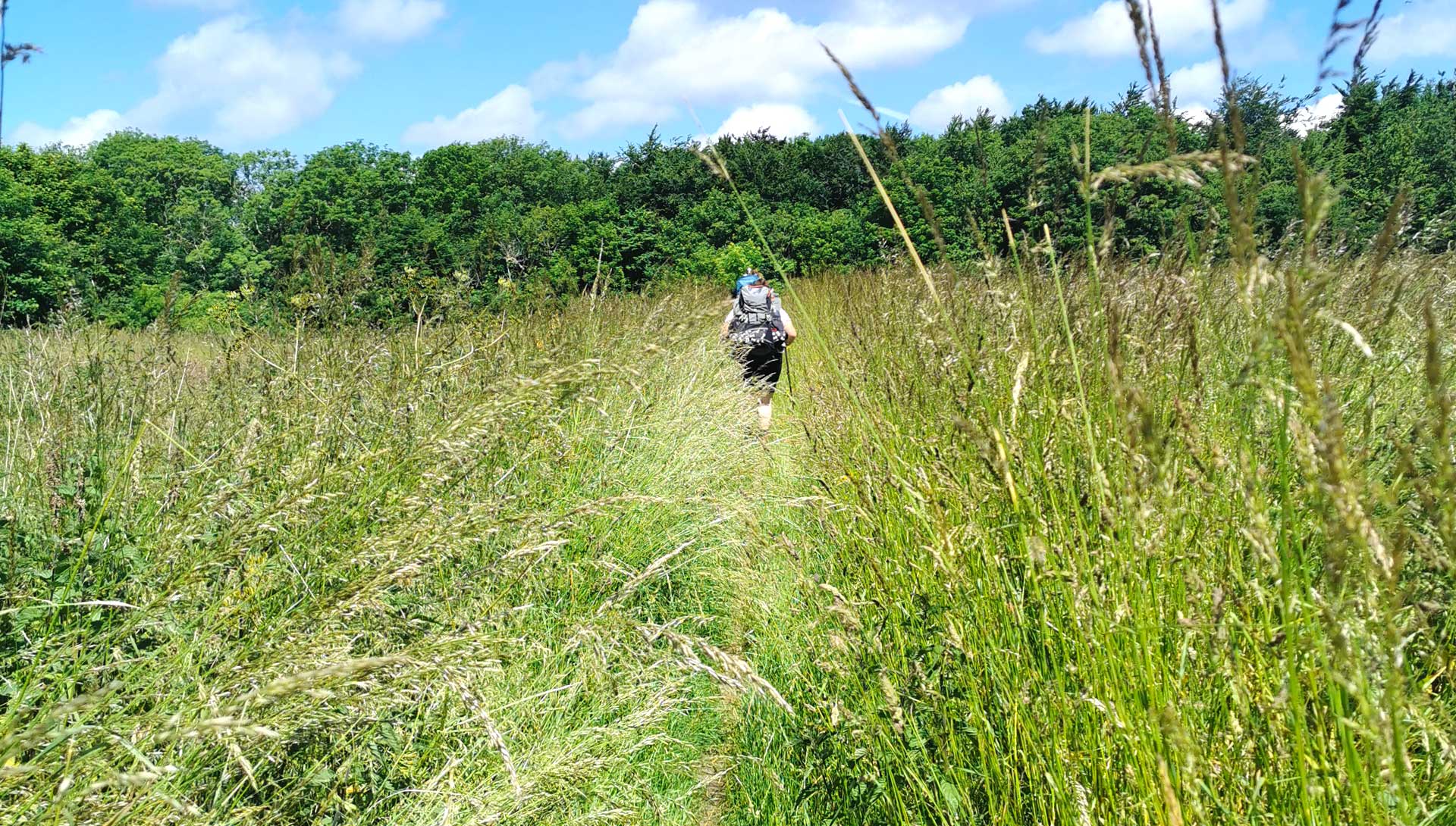 Fjordstien etape 8 fra Kongsøre Skov til Rørvig