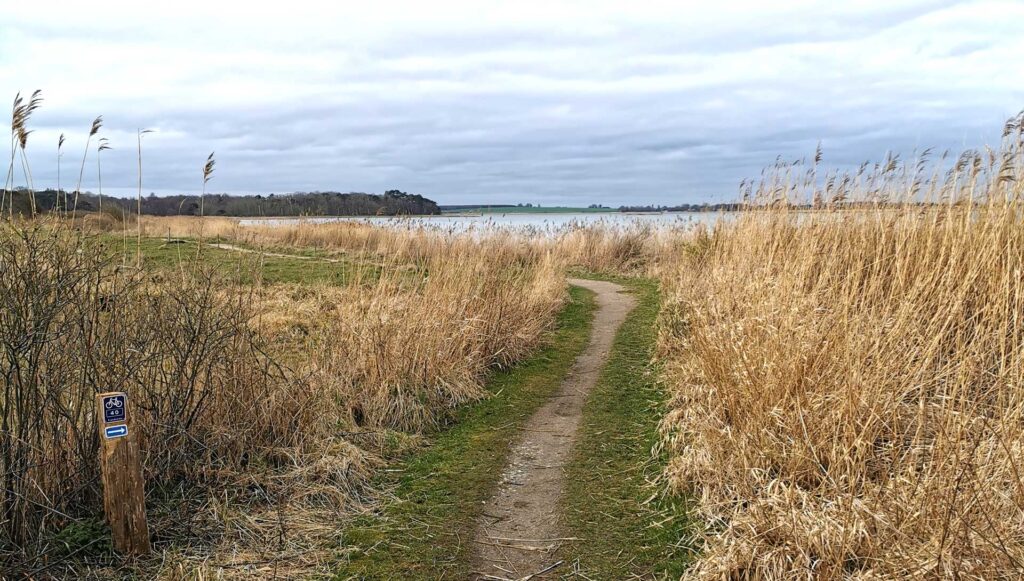 Fjordstien på etapen fra Kyndby Huse til Holbæk