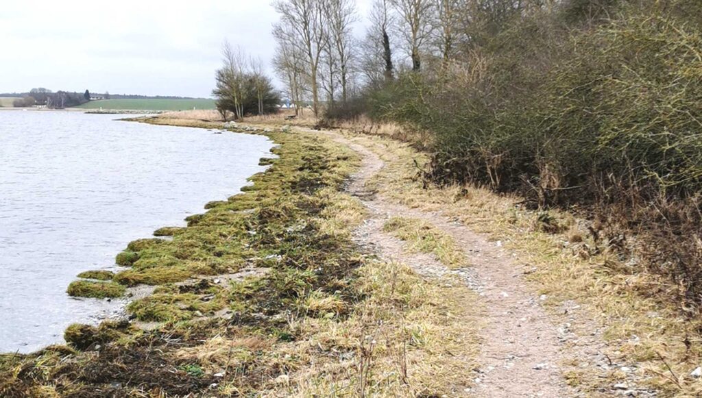 Fjordstien på etapen fra Roskilde til Gershøj