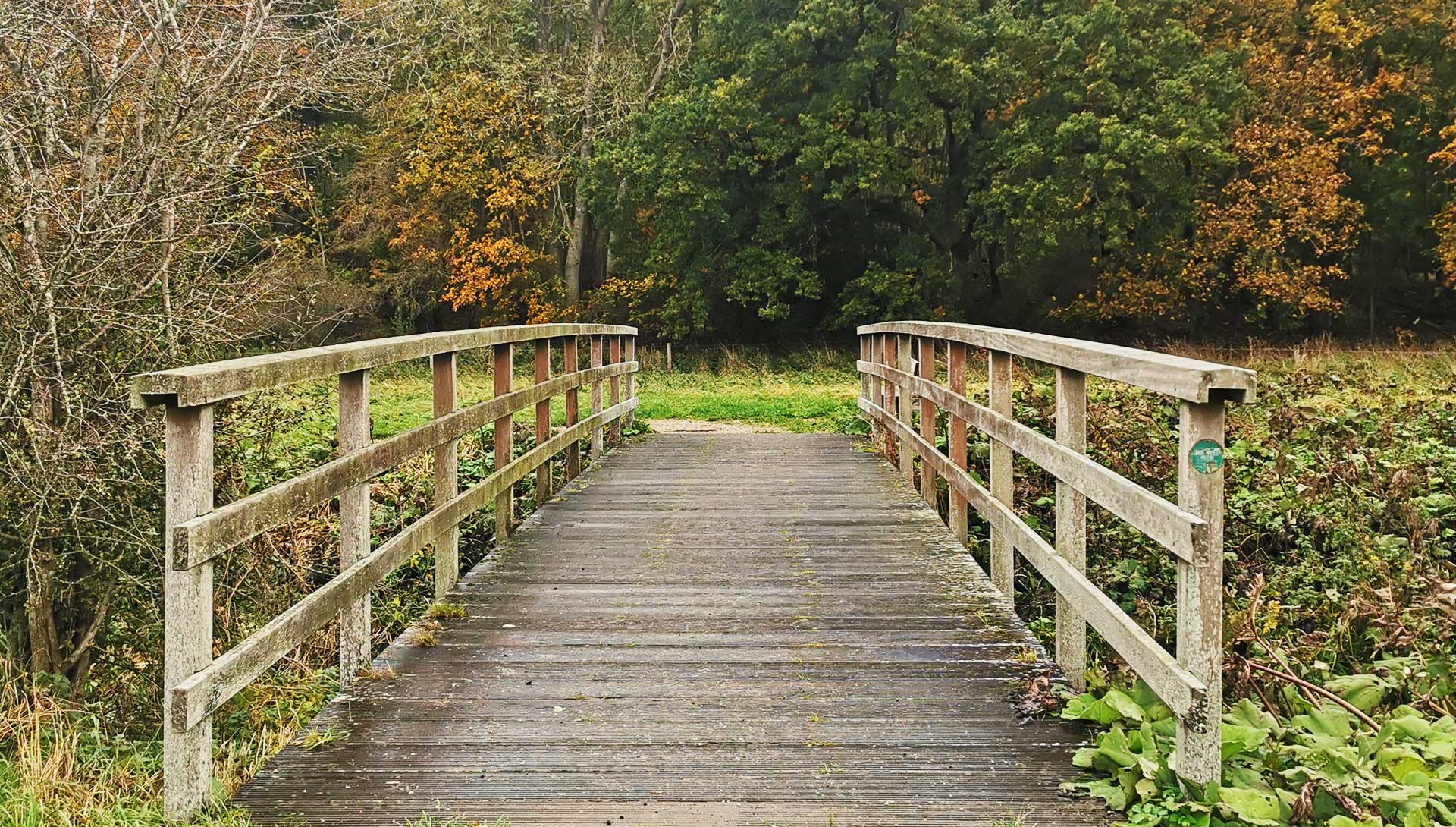 Køge Å Stien over træbro