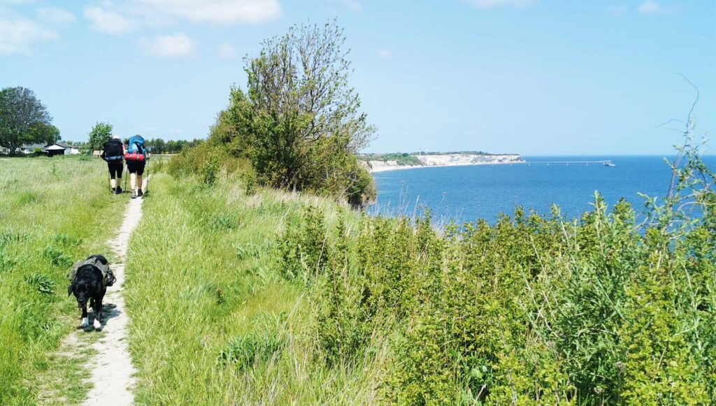 Vandreruter Stevns Klint Trampesti, sti langs kysten