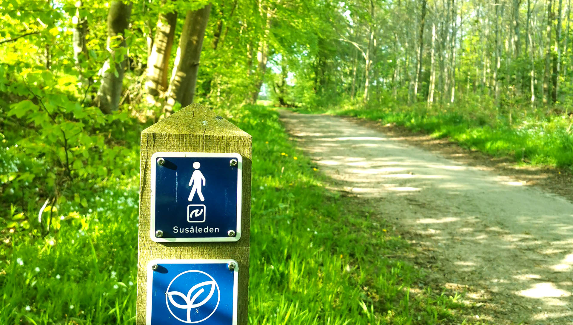 Ruteskilt på Susåleden