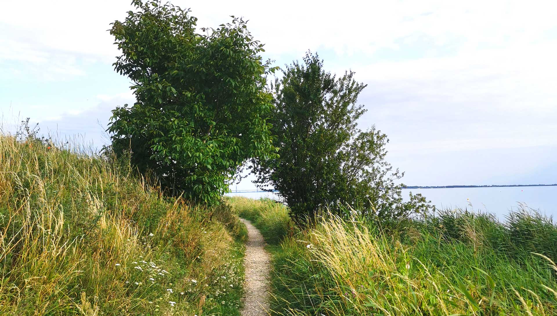 Sydsjællands Kyst fra Kalvehave til Vordingborg