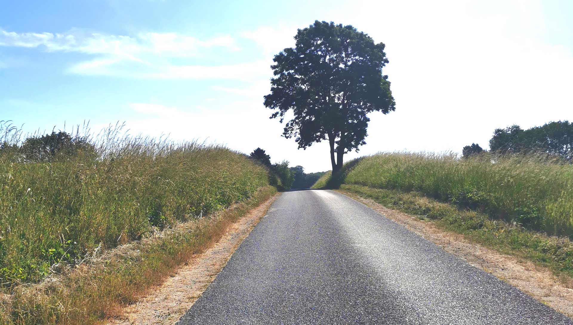 Sydsjællands Kyst fra Præstø til Kalvehave