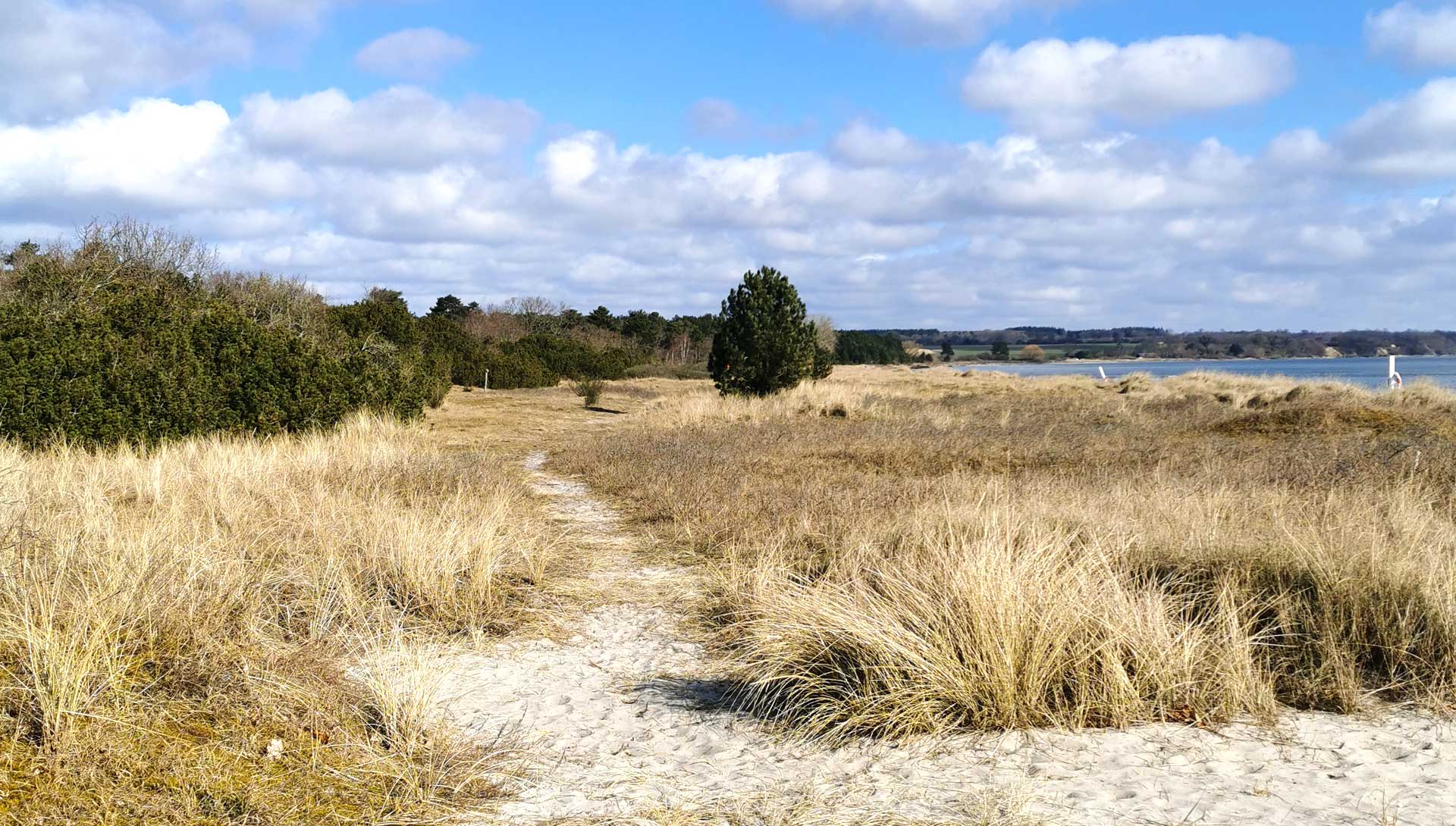 Sydsjællands Kyst ved Feddet