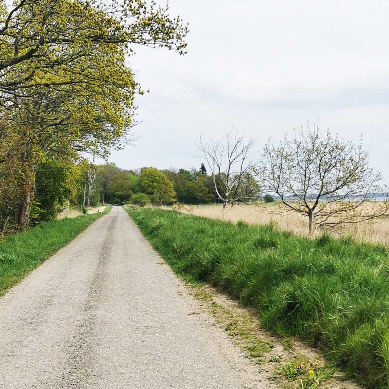 Fjordstien (etape 5) i Jægerspris Slotshegn