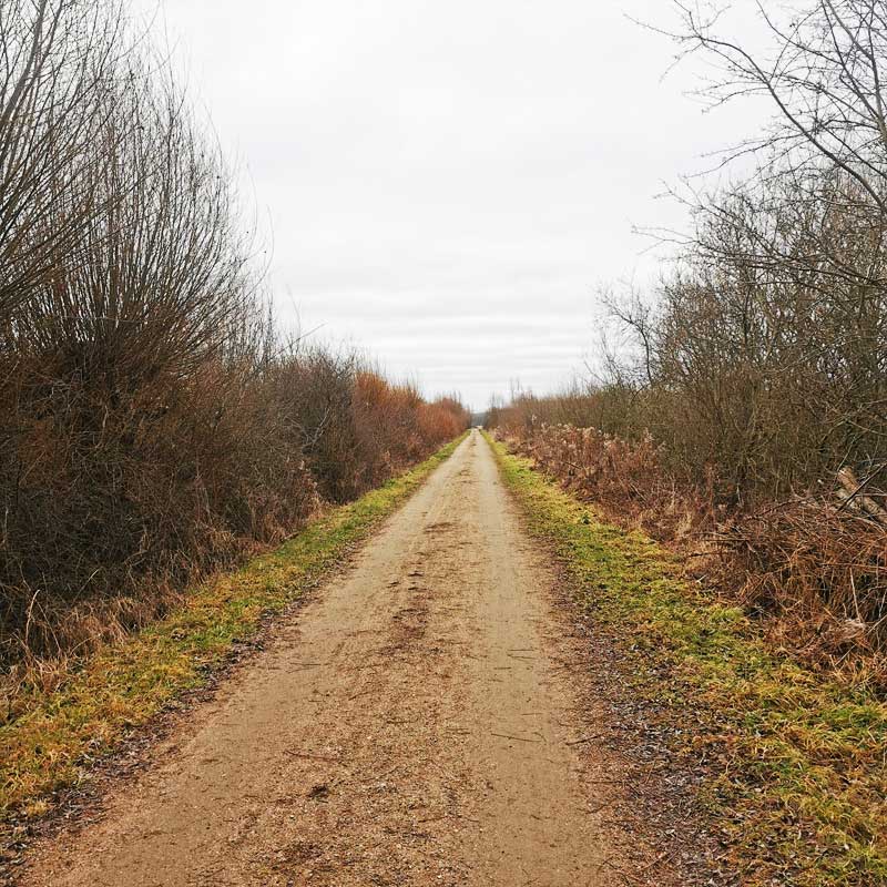 Fjordstien (etape 7) langs Holbæk Fjord