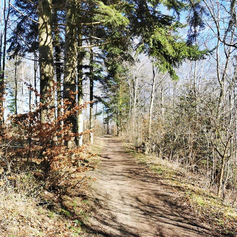 Fjordstien (etape 6) i Munkholm Skov