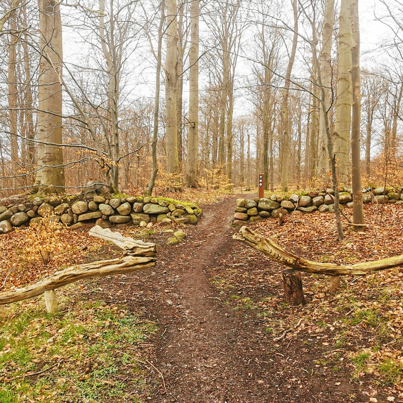 Indgang til Gribskov fra Gadevang