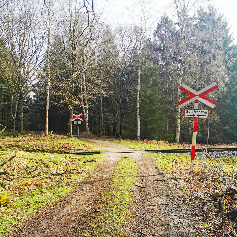 Togoverskæring i Gribskov
