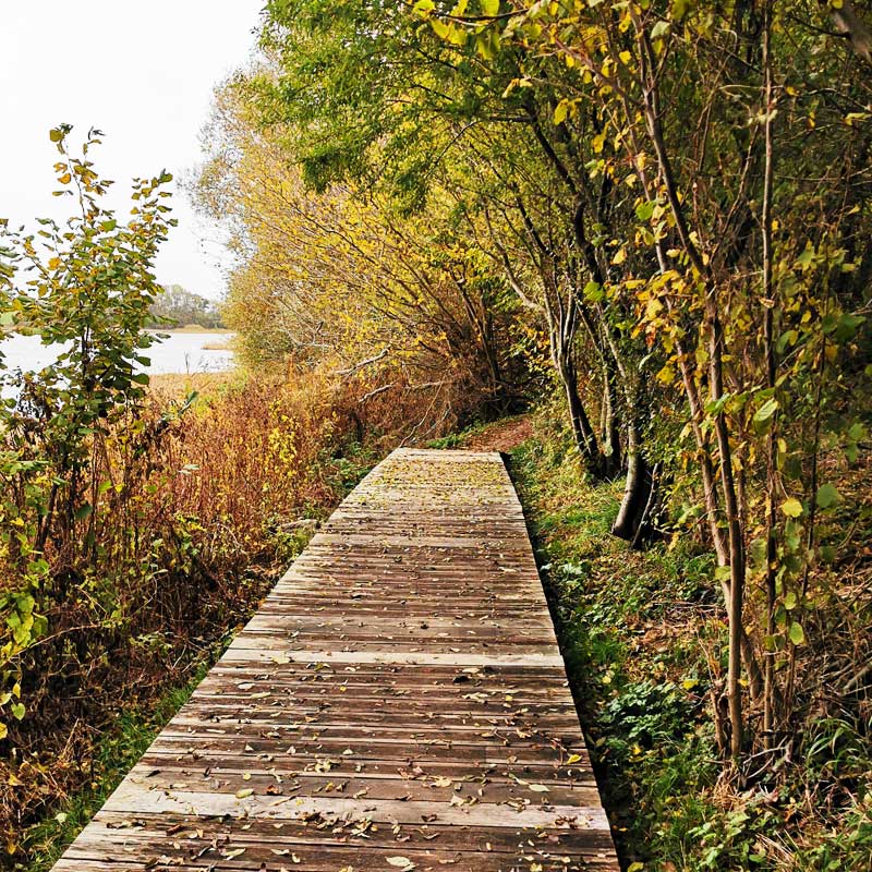 Køge Å Stien & Ringsted Oplevelsessti langs Haraldsted Sø