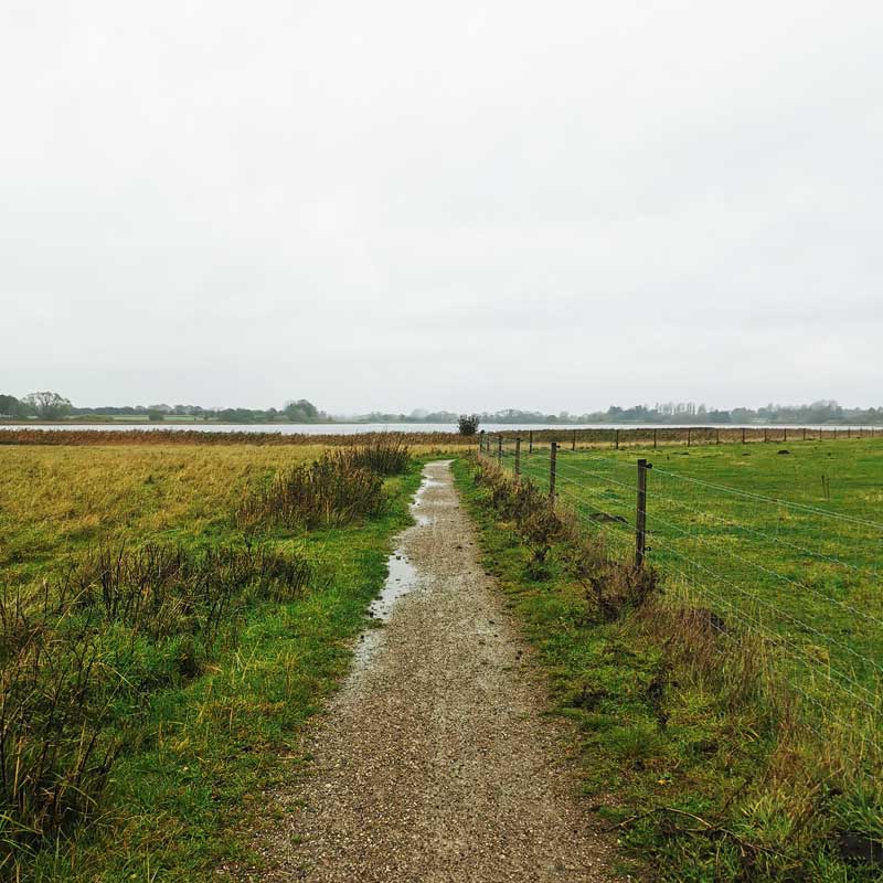 Køge Å Stien & Ringsted Oplevelsessti med udsigt ud over Haraldsted Sø