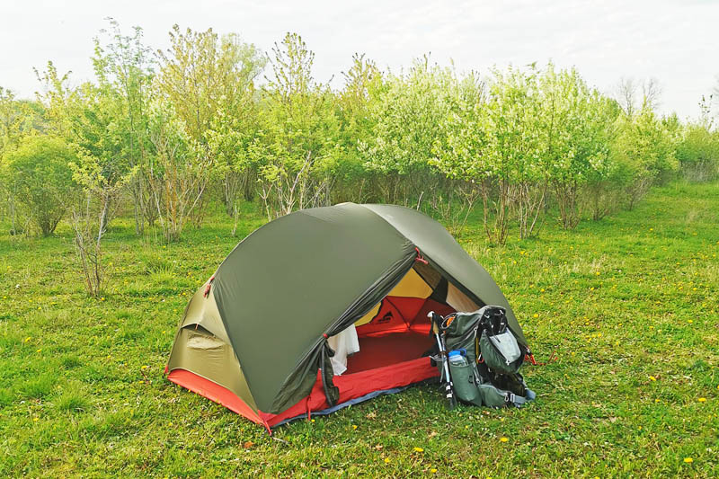 Friteltning i Ladby Skov