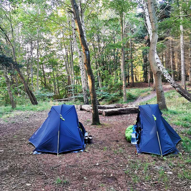 Primitiv lejrplads, Grønæsse Skov