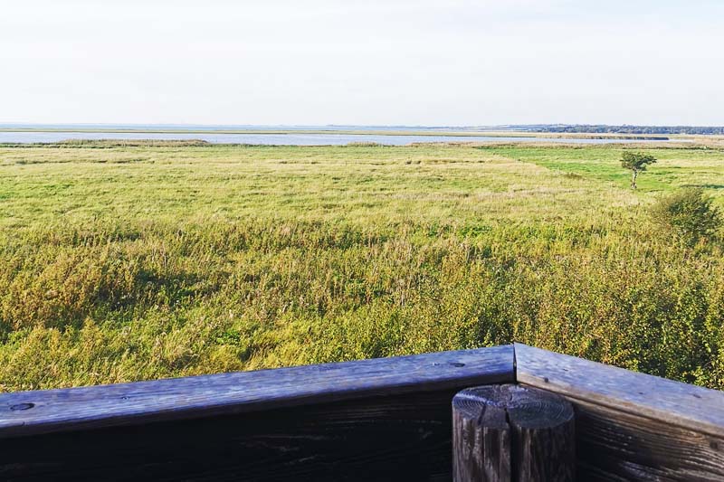 Vestsjællands Kyst (etape 1) med udsigt ud over brakvandslagunen Flasken og Jammerland bugten