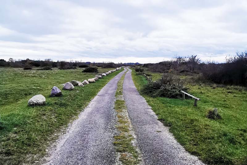 Vestsjællands Kyst (etape 3) gennem Vesterlyng