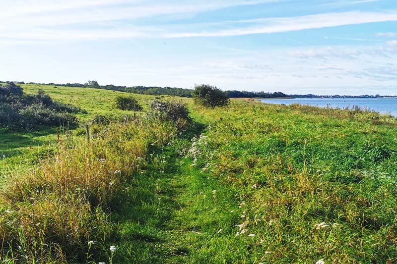 Vestsjællands Kyst (etape 4) med udsigt til Nekselø Bugten