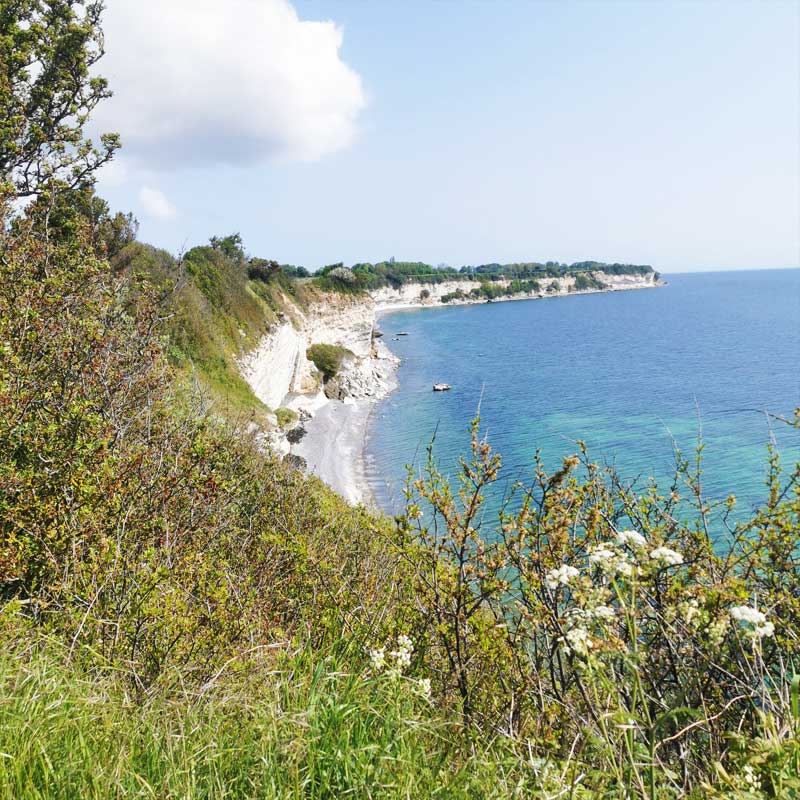 Udsigt over klinten fra Stevns Klint Trampesti - en god begynder-rute