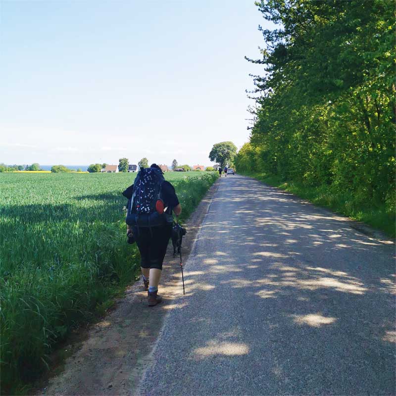 Stevns Klint Trampesti med udsigt til Bøgeskov Havn