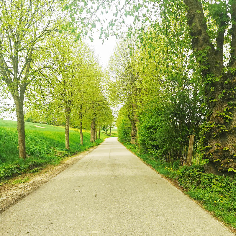 Susåleden langs Suså