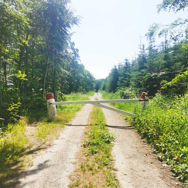 Sydsjællands Kyst (etape 3) i Viemose Skov
