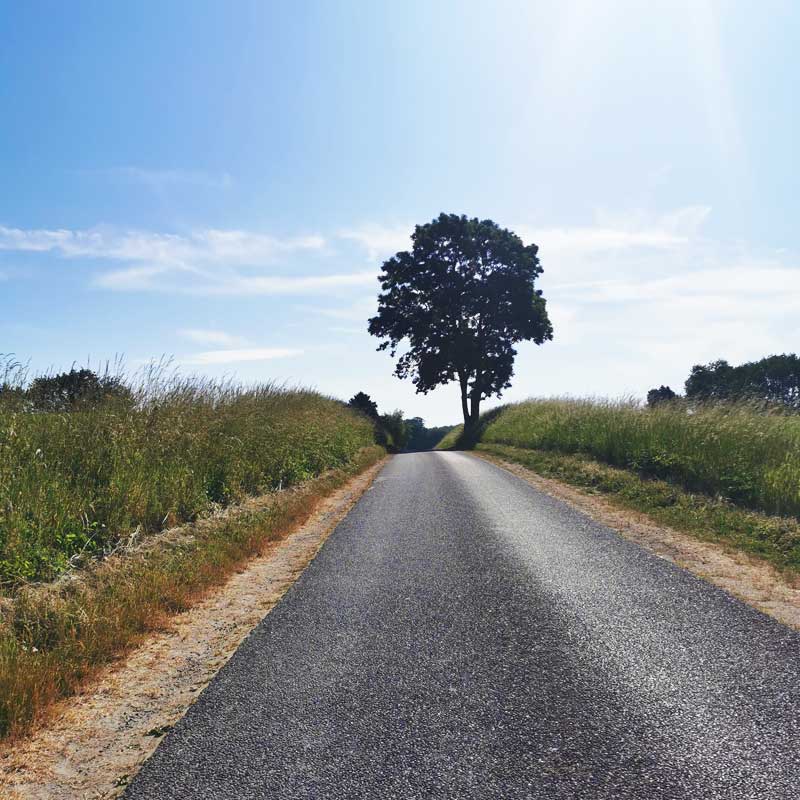 Sydsjællands Kyst (etape 3) på Jungshoved Nor