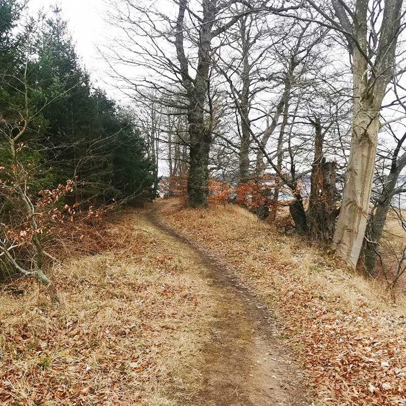 Sydsjællands Kyst (etape 2) med udsigt til Præstø Fjord