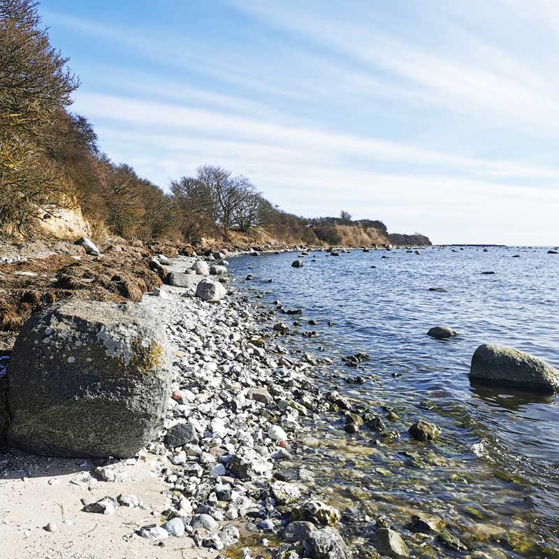 Sydsjællands Kyst (etape 2) på stenstrand mod Rødvig