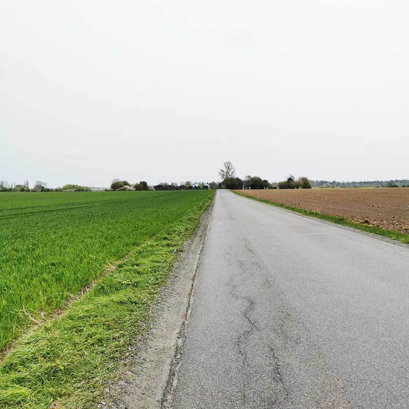 Sydsjællands Kyst (etape 5) langs landevejen på Avnø