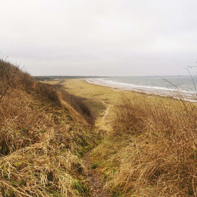 Vestsjællands Kyst (etape 2) med udsigt ud over kysten fra Musholmleden
