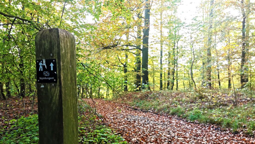 Vandreruter Skjoldungestien, stolpe med rute skilt langs skovsti