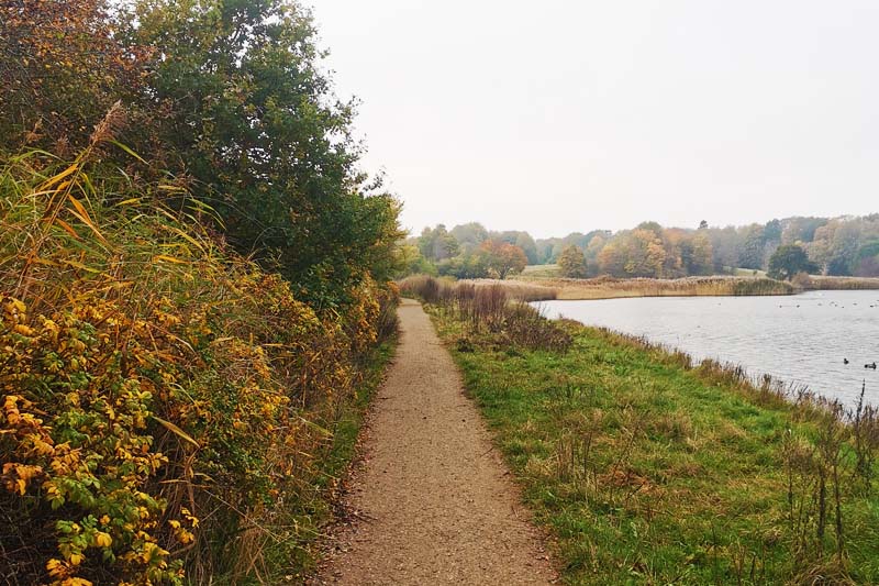 Skjoldungestien langs Roskilde Fjord