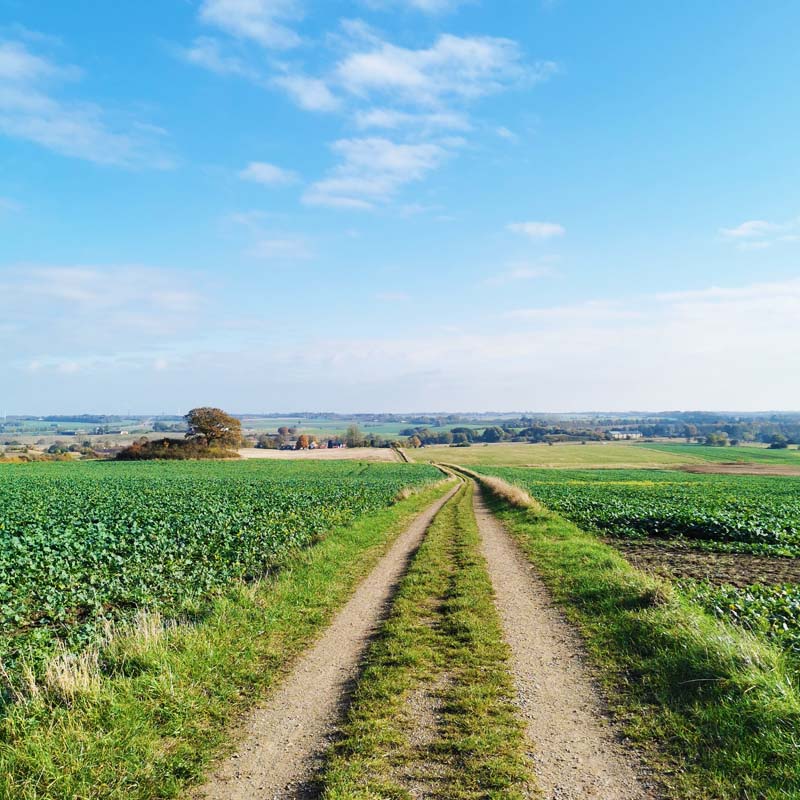 Skjoldungestien med udsigt til Gl. Lejre