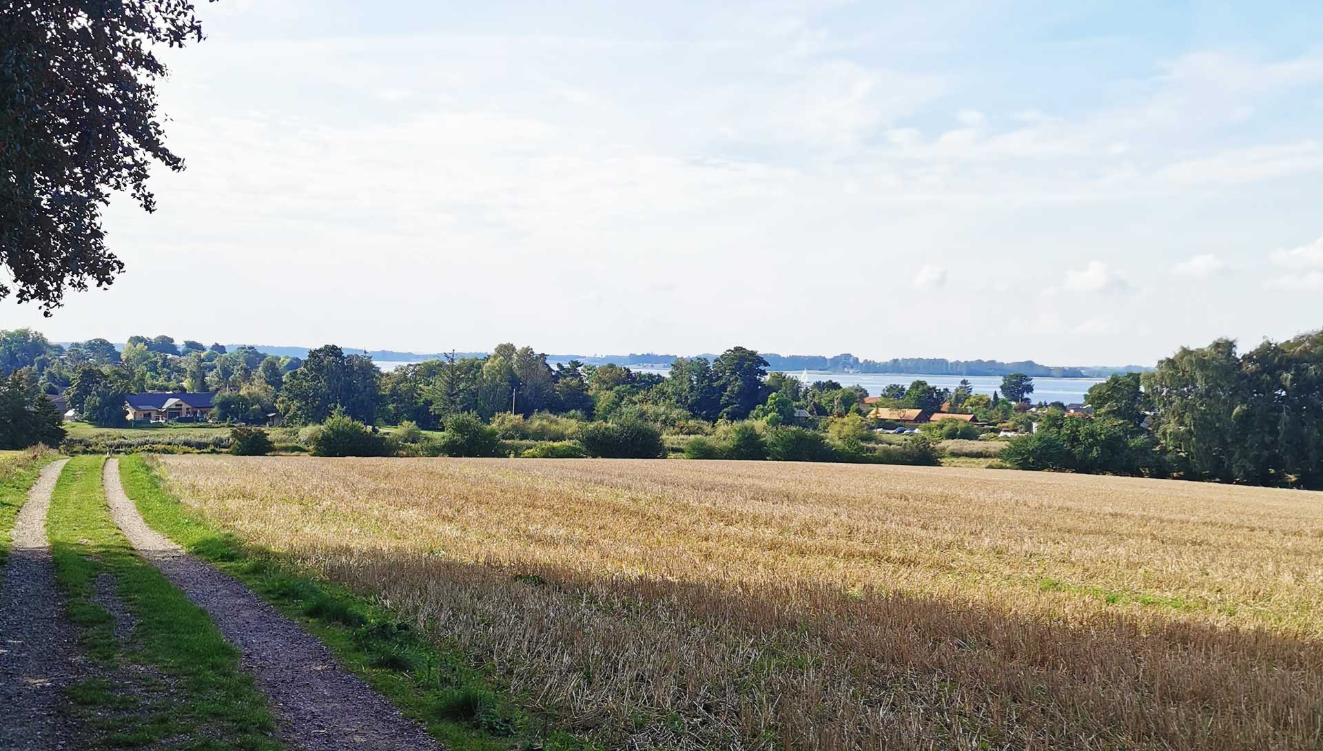 Fjordstien etape 2 fra Frederikssund til Roskilde
