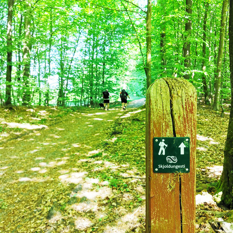 Den perfekte begynder-rute