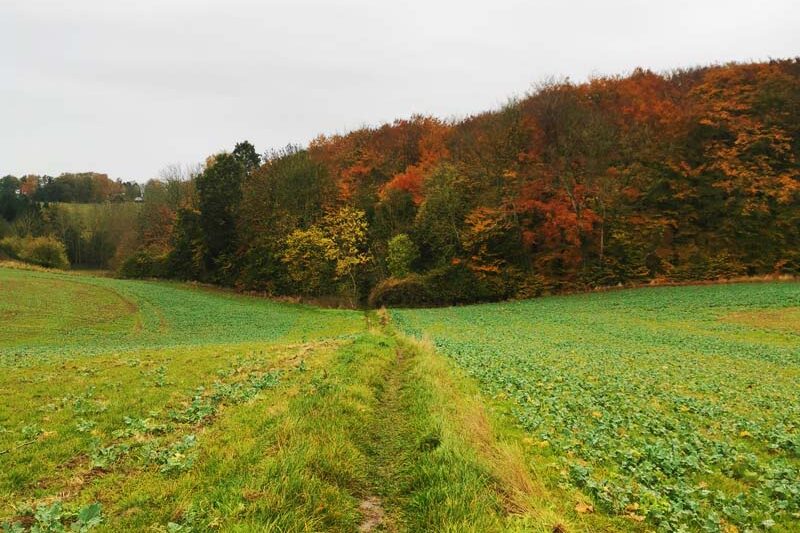 Efterår på Skjoldungestien