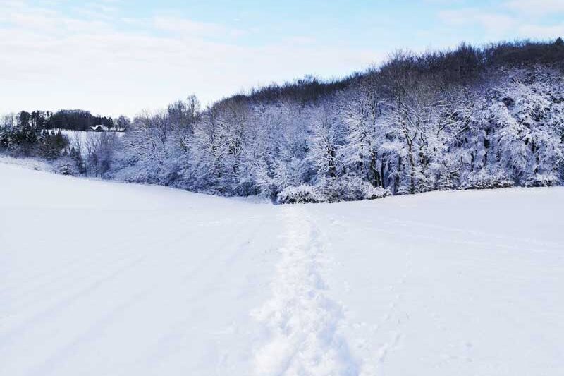 Vinter på på Skjoldungestien