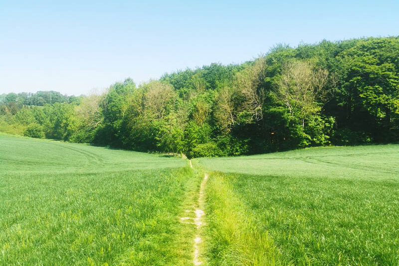 Forår på Skjoldungestien